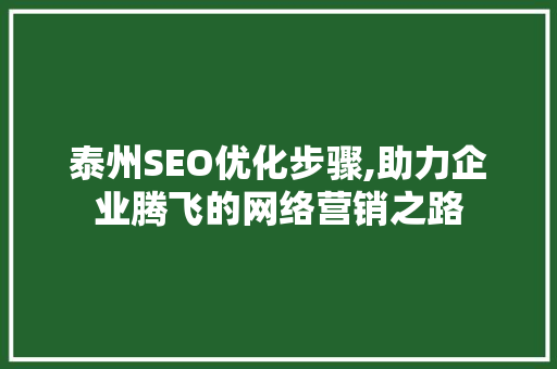 泰州SEO优化步骤,助力企业腾飞的网络营销之路