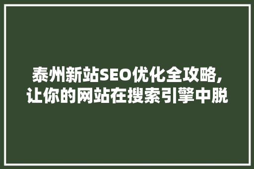 泰州新站SEO优化全攻略,让你的网站在搜索引擎中脱颖而出