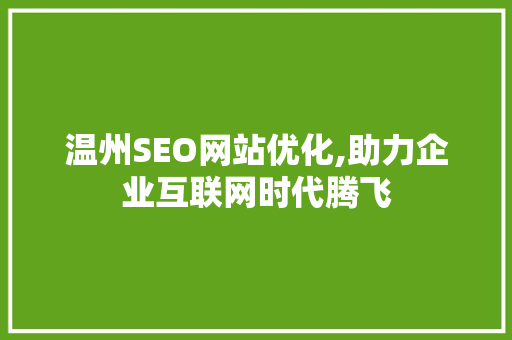 温州SEO网站优化,助力企业互联网时代腾飞