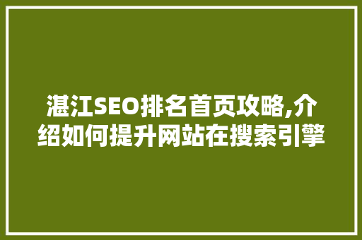 湛江SEO排名首页攻略,介绍如何提升网站在搜索引擎中的竞争力