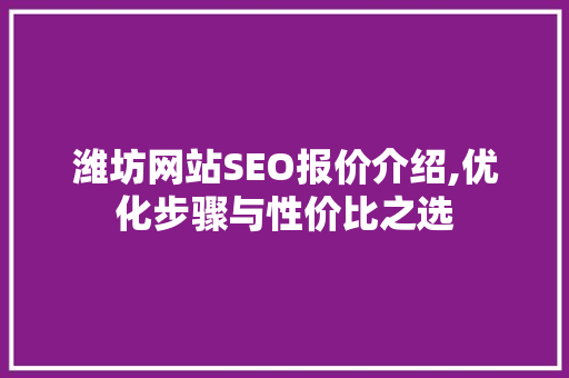 潍坊网站SEO报价介绍,优化步骤与性价比之选