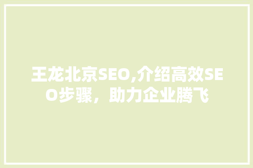 王龙北京SEO,介绍高效SEO步骤，助力企业腾飞