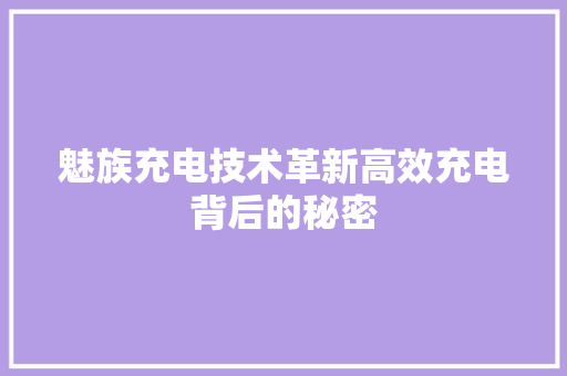 魅族充电技术革新高效充电背后的秘密