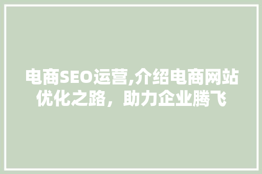 电商SEO运营,介绍电商网站优化之路，助力企业腾飞