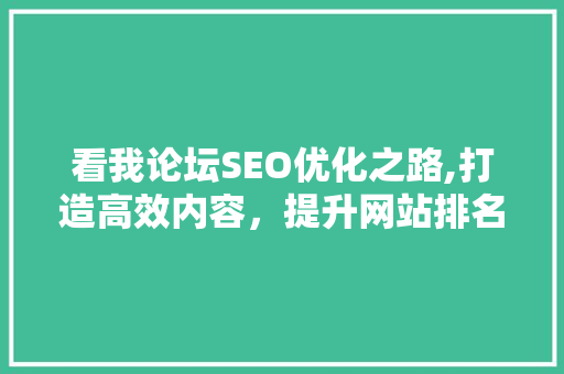 看我论坛SEO优化之路,打造高效内容，提升网站排名
