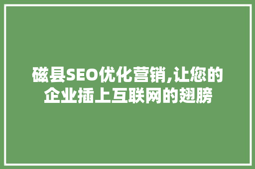 磁县SEO优化营销,让您的企业插上互联网的翅膀