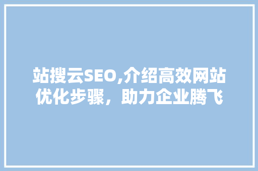 站搜云SEO,介绍高效网站优化步骤，助力企业腾飞
