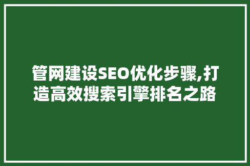 管网建设SEO优化步骤,打造高效搜索引擎排名之路  第1张
