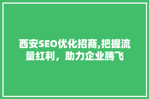 西安SEO优化招商,把握流量红利，助力企业腾飞