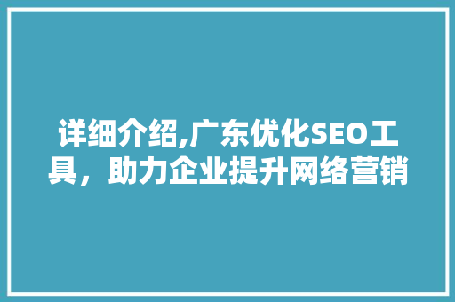详细介绍,广东优化SEO工具，助力企业提升网络营销效果