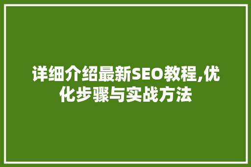 详细介绍最新SEO教程,优化步骤与实战方法