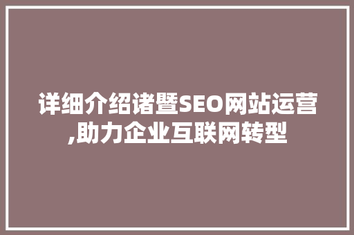 详细介绍诸暨SEO网站运营,助力企业互联网转型