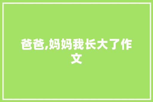 象山外贸SEO优化,助力企业扬帆出海，抢占全球市场制高点