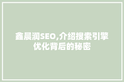 鑫晨润SEO,介绍搜索引擎优化背后的秘密