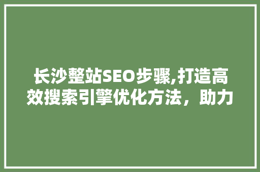 长沙整站SEO步骤,打造高效搜索引擎优化方法，助力企业腾飞