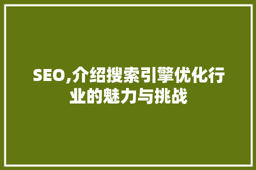 SEO,介绍搜索引擎优化行业的魅力与挑战