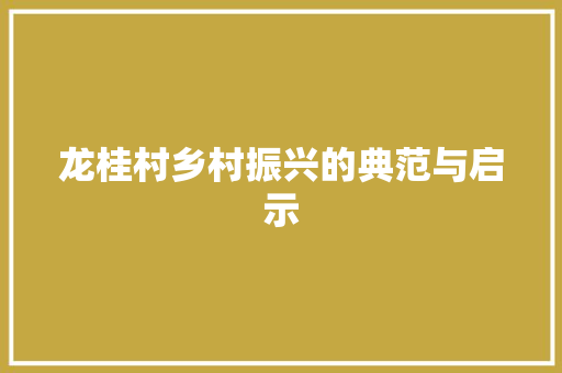 龙桂村乡村振兴的典范与启示