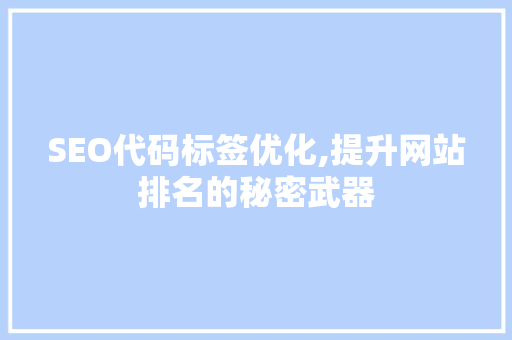 SEO代码标签优化,提升网站排名的秘密武器