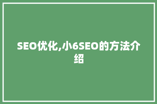SEO优化,小6SEO的方法介绍