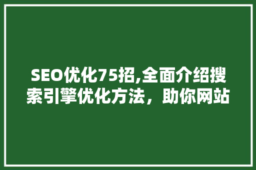 SEO优化75招,全面介绍搜索引擎优化方法，助你网站脱颖而出！