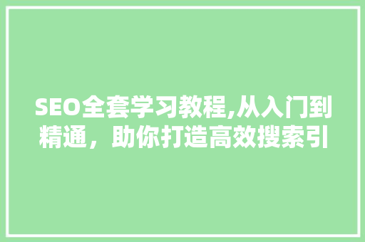 SEO全套学习教程,从入门到精通，助你打造高效搜索引擎优化步骤