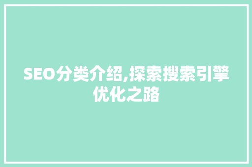 SEO分类介绍,探索搜索引擎优化之路
