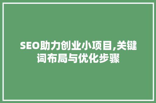 SEO助力创业小项目,关键词布局与优化步骤