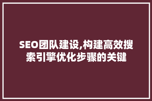 SEO团队建设,构建高效搜索引擎优化步骤的关键