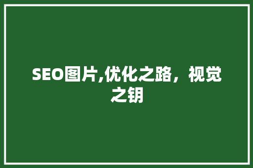 SEO图片,优化之路，视觉之钥