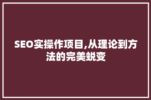 SEO实操作项目,从理论到方法的完美蜕变