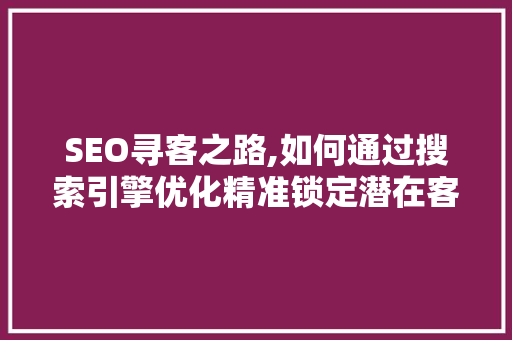 SEO寻客之路,如何通过搜索引擎优化精准锁定潜在客户