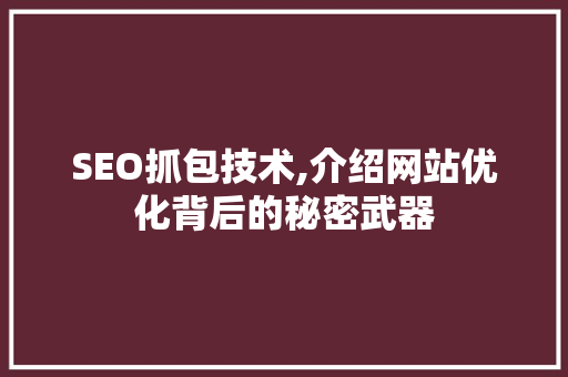 SEO抓包技术,介绍网站优化背后的秘密武器