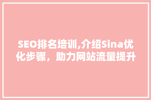SEO排名培训,介绍Sina优化步骤，助力网站流量提升