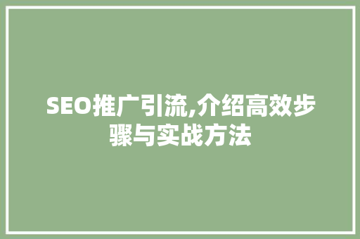 SEO推广引流,介绍高效步骤与实战方法