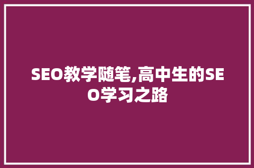 SEO教学随笔,高中生的SEO学习之路