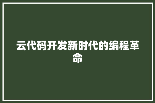 云代码开发新时代的编程革命