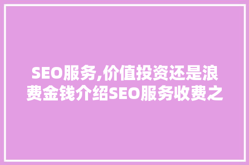 SEO服务,价值投资还是浪费金钱介绍SEO服务收费之谜