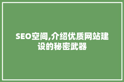 SEO空间,介绍优质网站建设的秘密武器