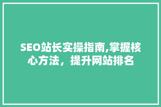 SEO站长实操指南,掌握核心方法，提升网站排名