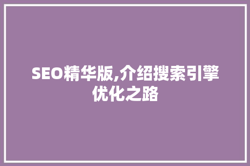 SEO精华版,介绍搜索引擎优化之路