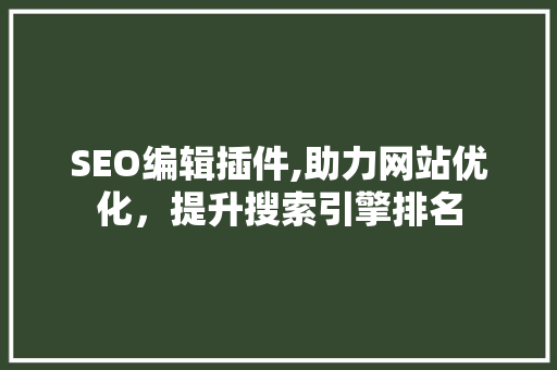 SEO编辑插件,助力网站优化，提升搜索引擎排名