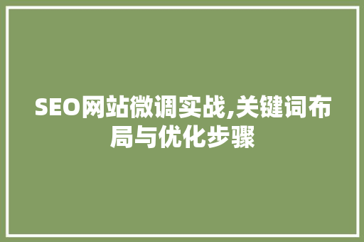 SEO网站微调实战,关键词布局与优化步骤