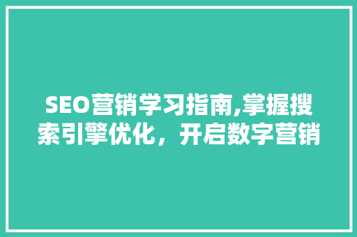 SEO营销学习指南,掌握搜索引擎优化，开启数字营销新篇章