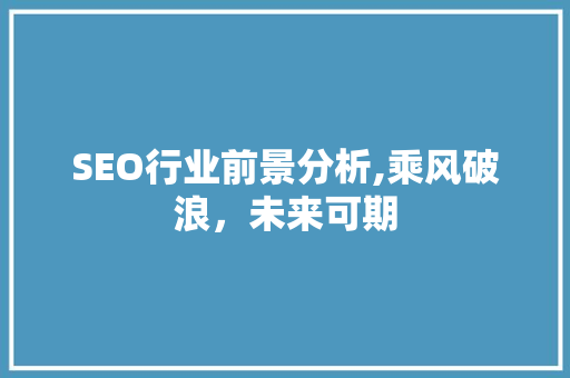 SEO行业前景分析,乘风破浪，未来可期