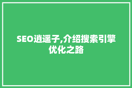 SEO逍遥子,介绍搜索引擎优化之路
