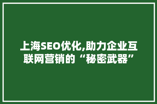 上海SEO优化,助力企业互联网营销的“秘密武器”