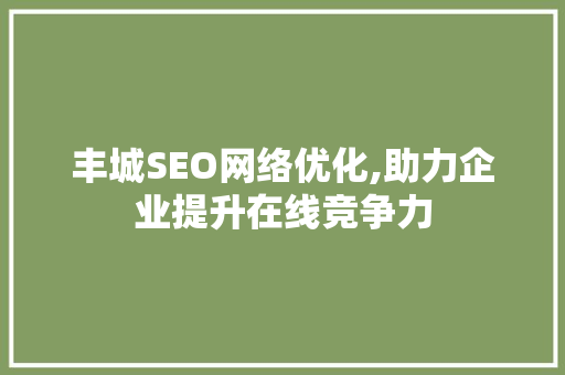 丰城SEO网络优化,助力企业提升在线竞争力