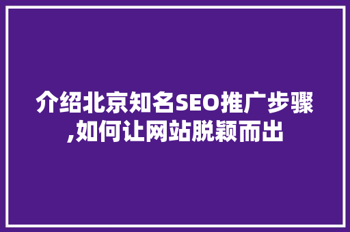 介绍北京知名SEO推广步骤,如何让网站脱颖而出