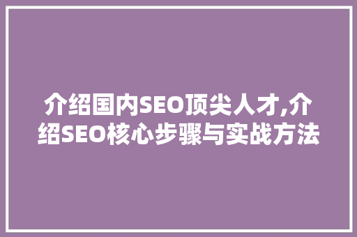 介绍国内SEO顶尖人才,介绍SEO核心步骤与实战方法