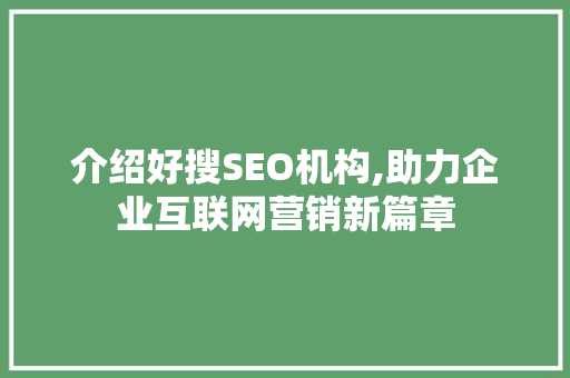 介绍好搜SEO机构,助力企业互联网营销新篇章